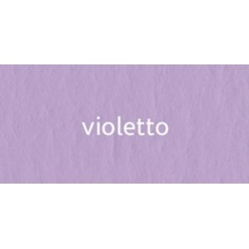 CARTONCINO BRISTOL 70X100 220 GR.VIOLETT 