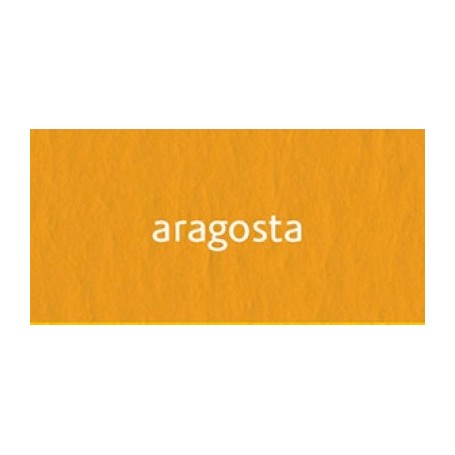 CARTONCINO BRISTOL 70X100 220 GR.ARAGOST FABRIANO