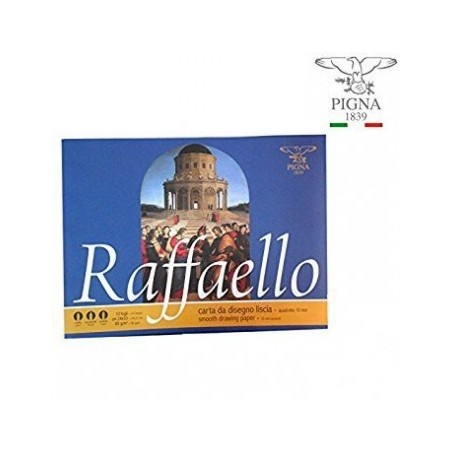 ALBUM RAFFAELLO 10 FF. 24X33 10 MM 