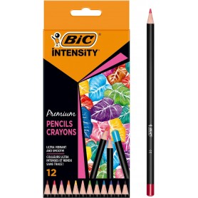 PASTELLI BIC INTENSITY CONF. 12 PZ 