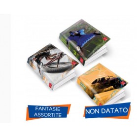 DIARIO PIGNA 12 MESI 13X18 SPORT 