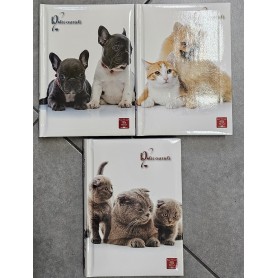 DIARIO PIGNA 12 MESI 13X18 DOLCI CUCCIOL 