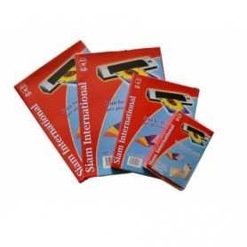 POUCHES 100PZ A3 125 MICRON SIAM 