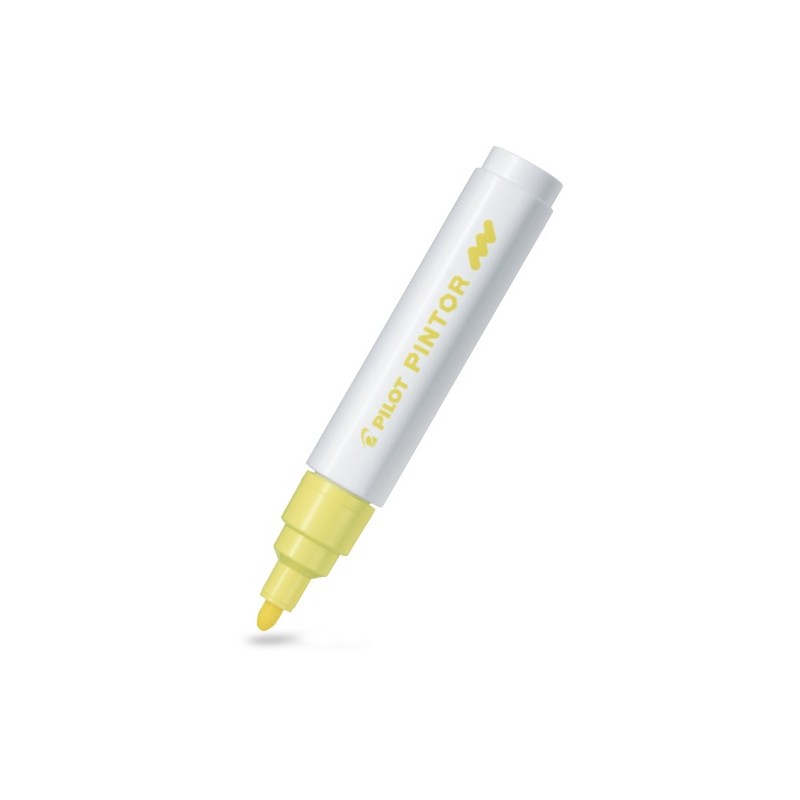 Pilot Pintor Set Pennarelli Creativi - Nero E Bianco, Punta Fine 2,3 Mm Per DIY E Arte