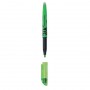 EVIDENZIATORE PILOT FRIXION VERDE 